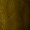 RawFooT_images/0042-32.png