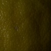 RawFooT_images/0042-33.png