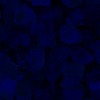 RawFooT_images/0046-46.png
