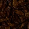 RawFooT_images/0047-10.png