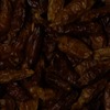 RawFooT_images/0047-11.png