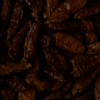 RawFooT_images/0047-42.png