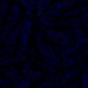 RawFooT_images/0047-46.png