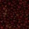 RawFooT_images/0051-04.png