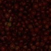 RawFooT_images/0051-13.png