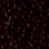 RawFooT_images/0051-33.png