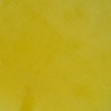 RawFooT_images/0053-25.png