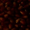 RawFooT_images/0054-34.png