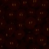 RawFooT_images/0055-40.png
