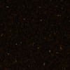 RawFooT_images/0057-04.png