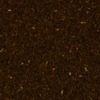 RawFooT_images/0057-28.png