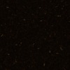 RawFooT_images/0057-38.png