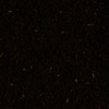 RawFooT_images/0057-43.png