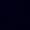 RawFooT_images/0057-46.png