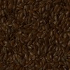 RawFooT_images/0060-11.png