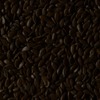 RawFooT_images/0060-33.png