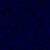 RawFooT_images/0060-46.png