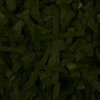 RawFooT_images/0062-13.png
