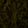 RawFooT_images/0062-37.png