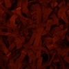 RawFooT_images/0062-44.png