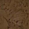 RawFooT_images/0068-04.png