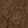 RawFooT_images/0068-10.png